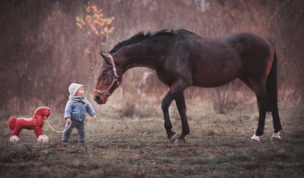 Взгляд в будущее