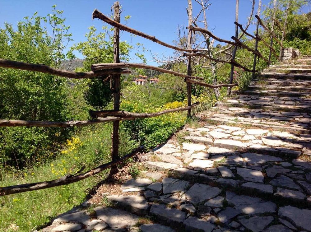 Весело и вверх.