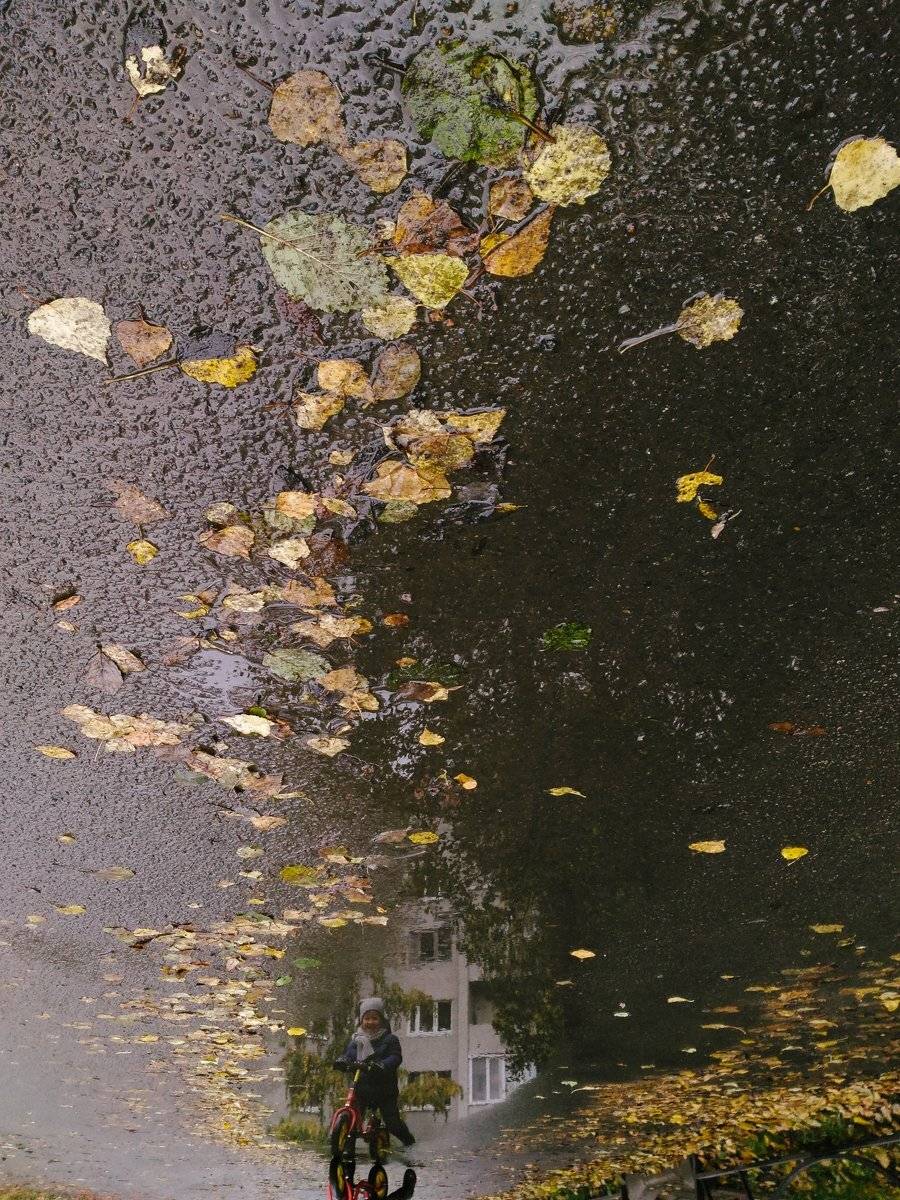Осень в городе