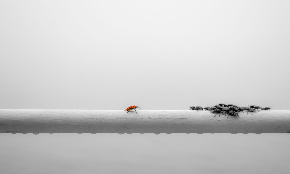 И один в поле воин!