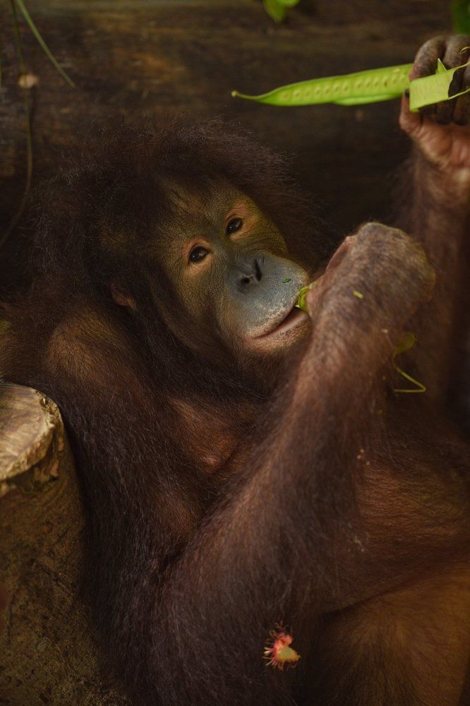 Photograph by Наталья