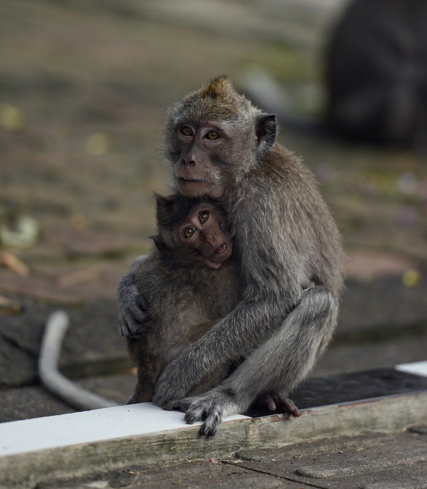 Photograph by Наталья