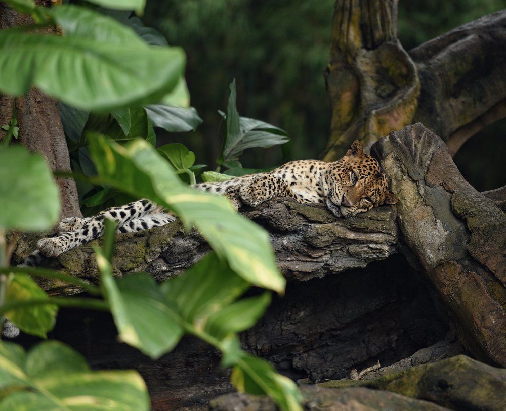 Photograph by Наталья