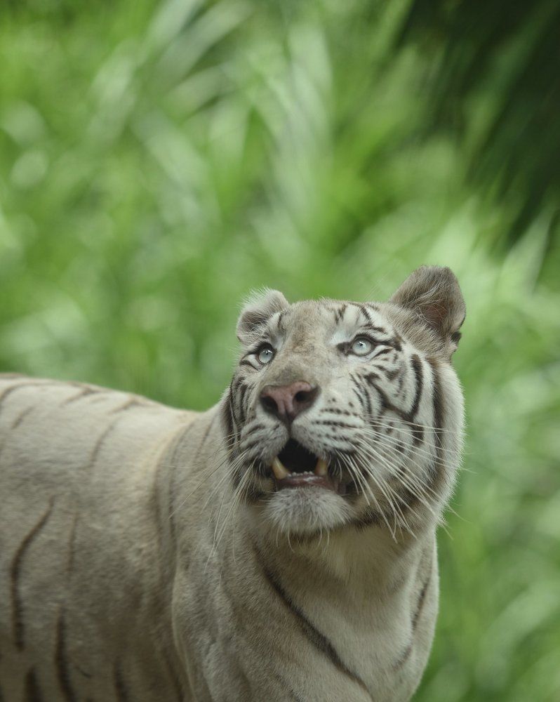 Photograph by Наталья