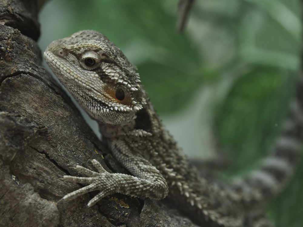 Photograph by Irina Volkova