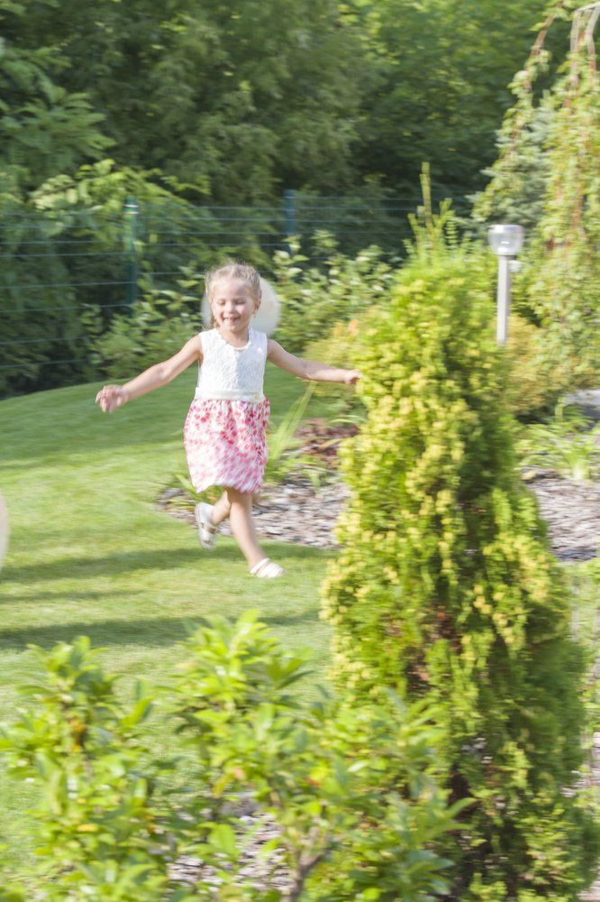 Ну ка, догони!