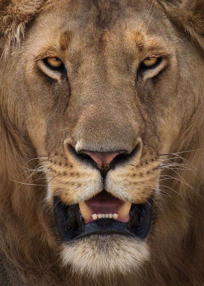 Photograph by Михаил Туркеев