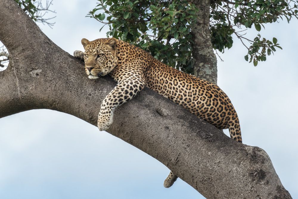 Photograph by Михаил Туркеев