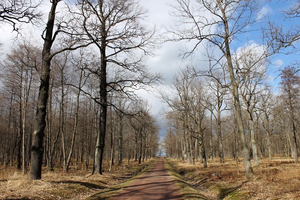 Photograph by Дарья Мещерякова