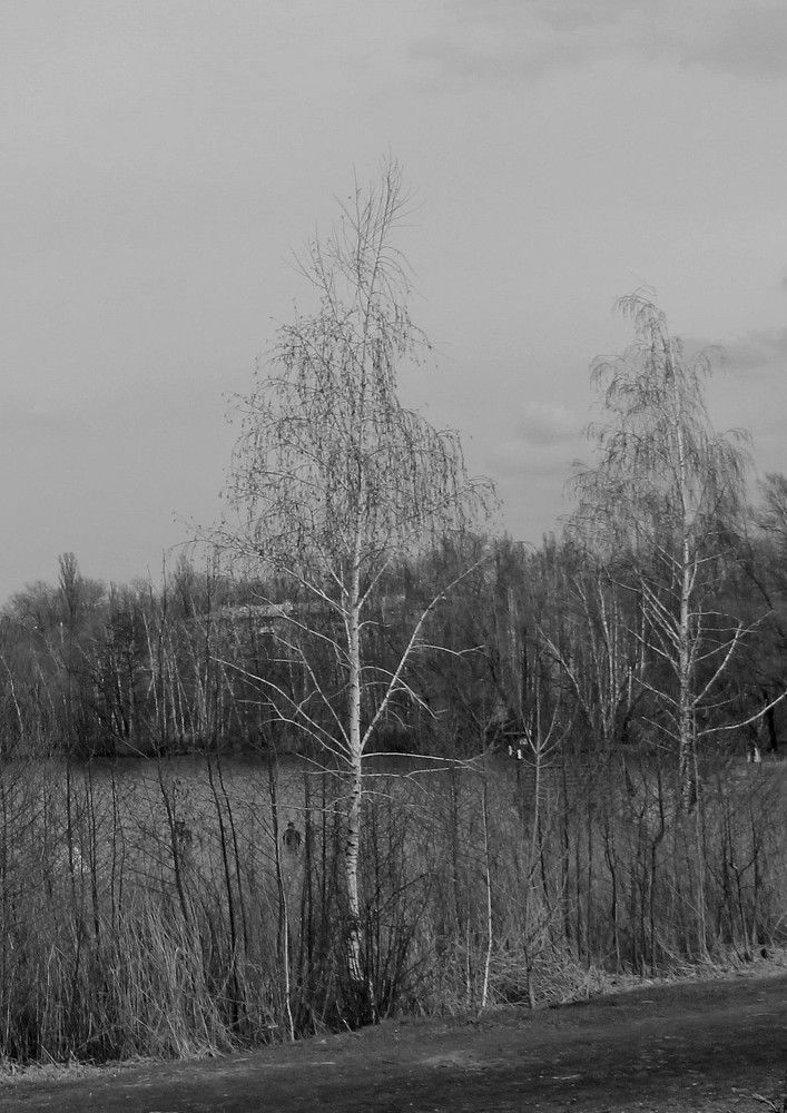 Photograph by Дарья Мещерякова