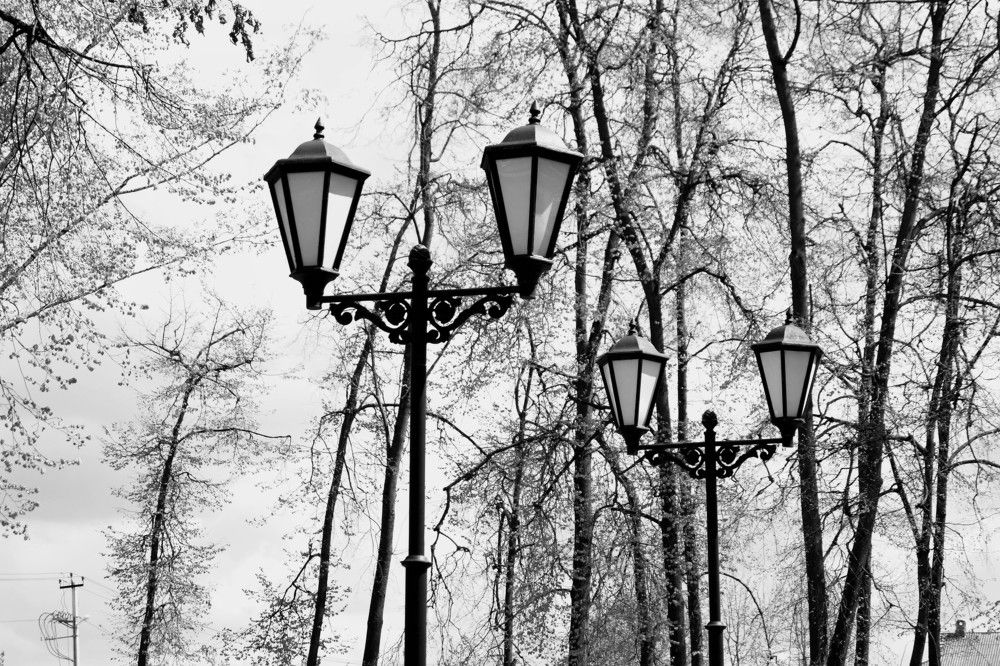 Photograph by Дарья Мещерякова