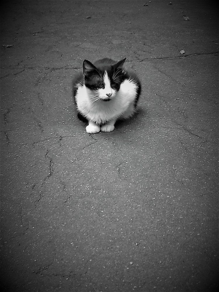 Воспоминания