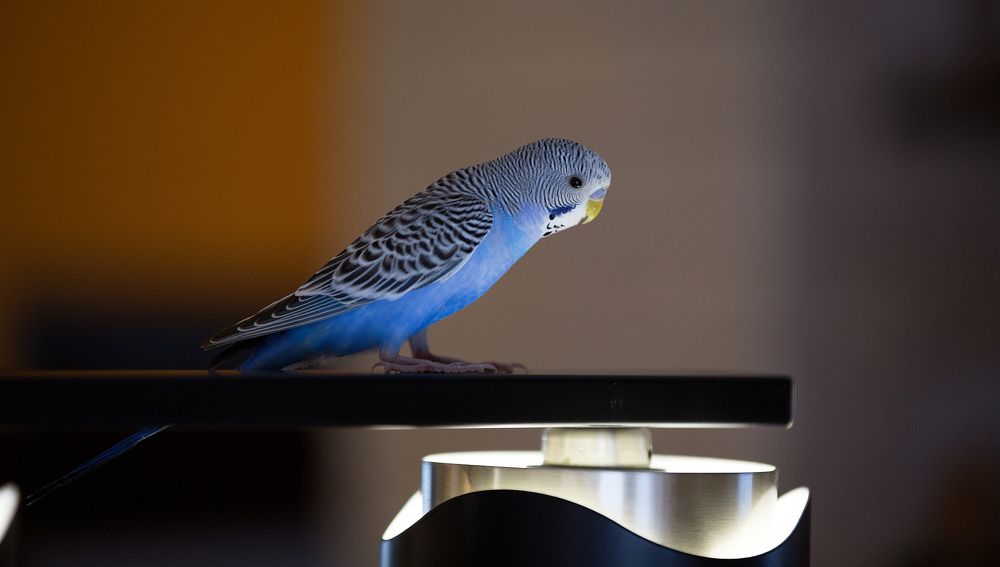 Photograph by Надежда Ячменева