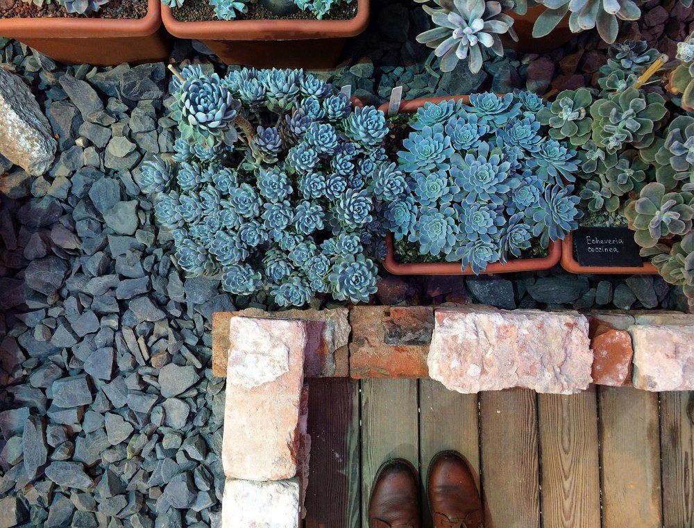 Photograph by Katarina