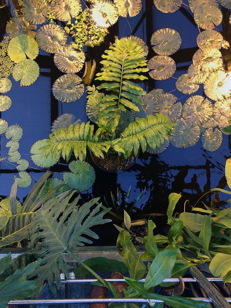 Photograph by Katarina