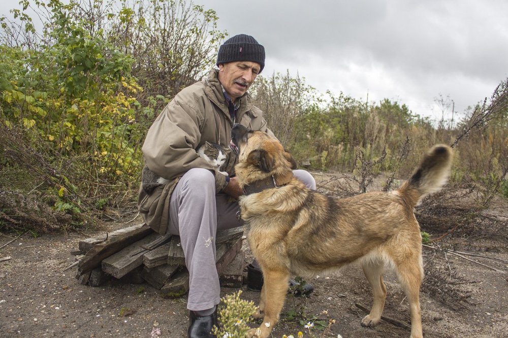 Верные друзья