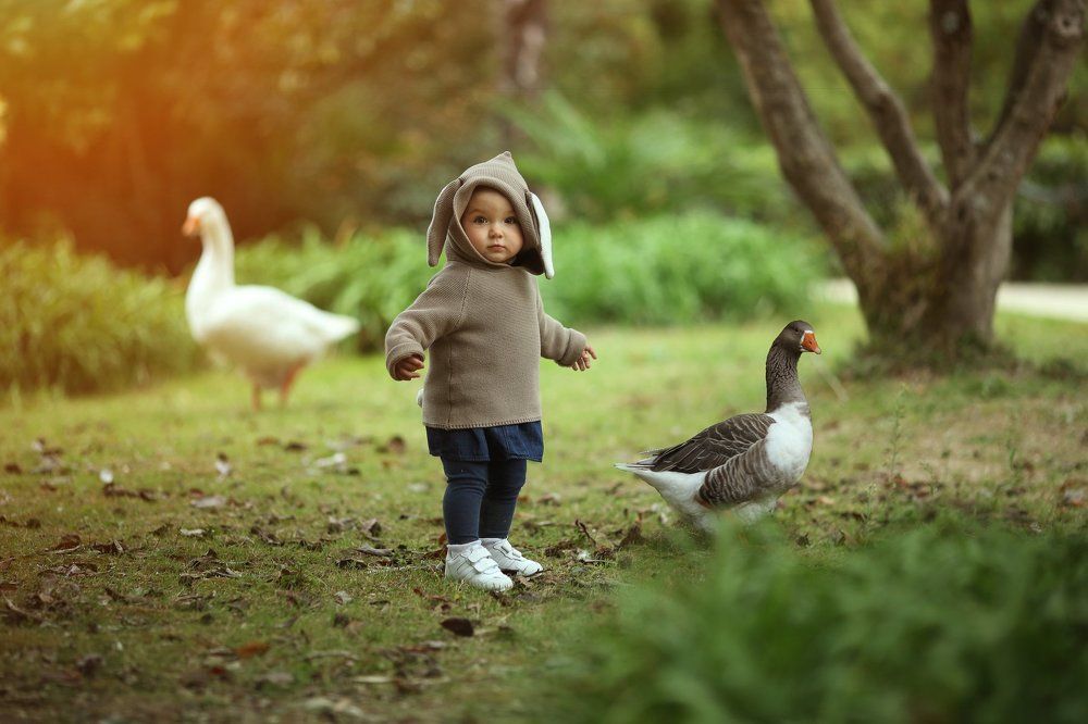 Я и мои гуси