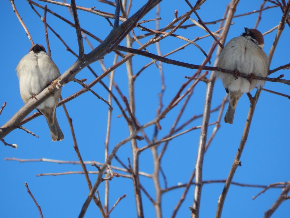 Друг без друга никак
