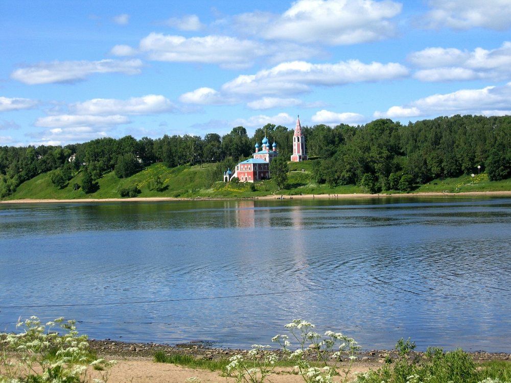 Волжский вид