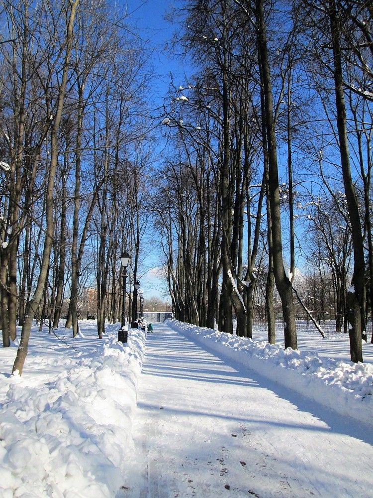 Аллея парка