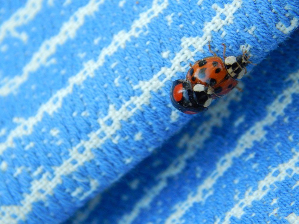 Фотография автора Станислав Компаниец