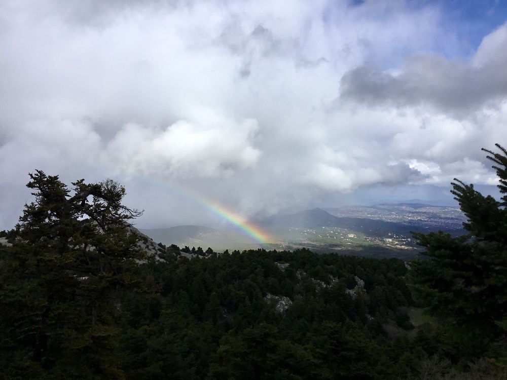 Встреча с Линой.