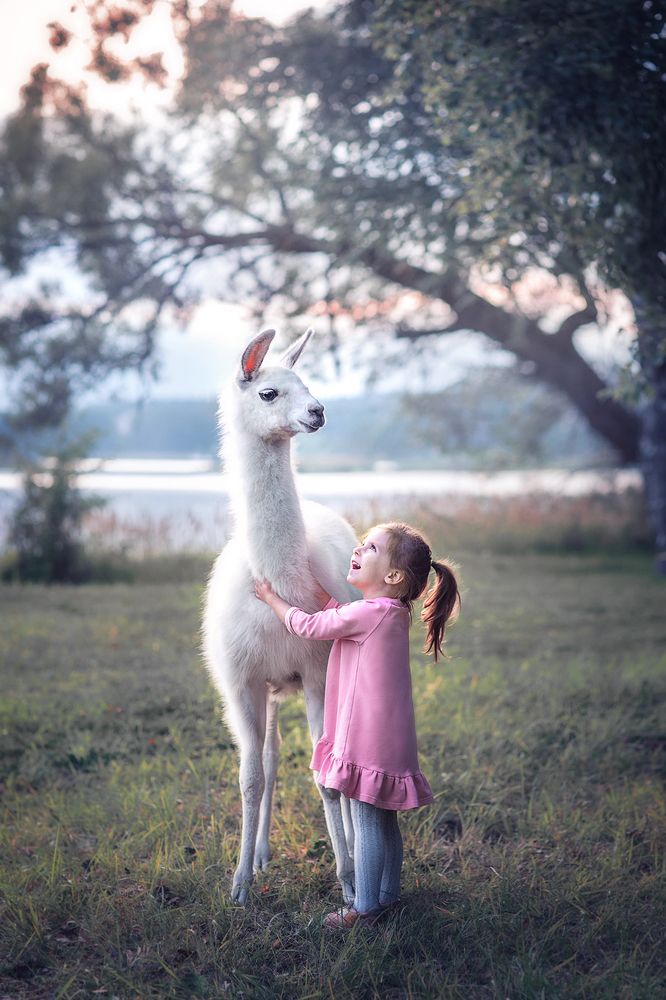 Знакомство с ламой