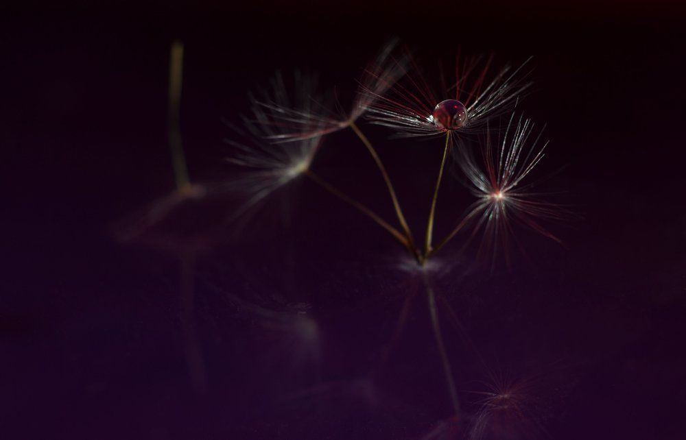 Photograph by Викулов Николай