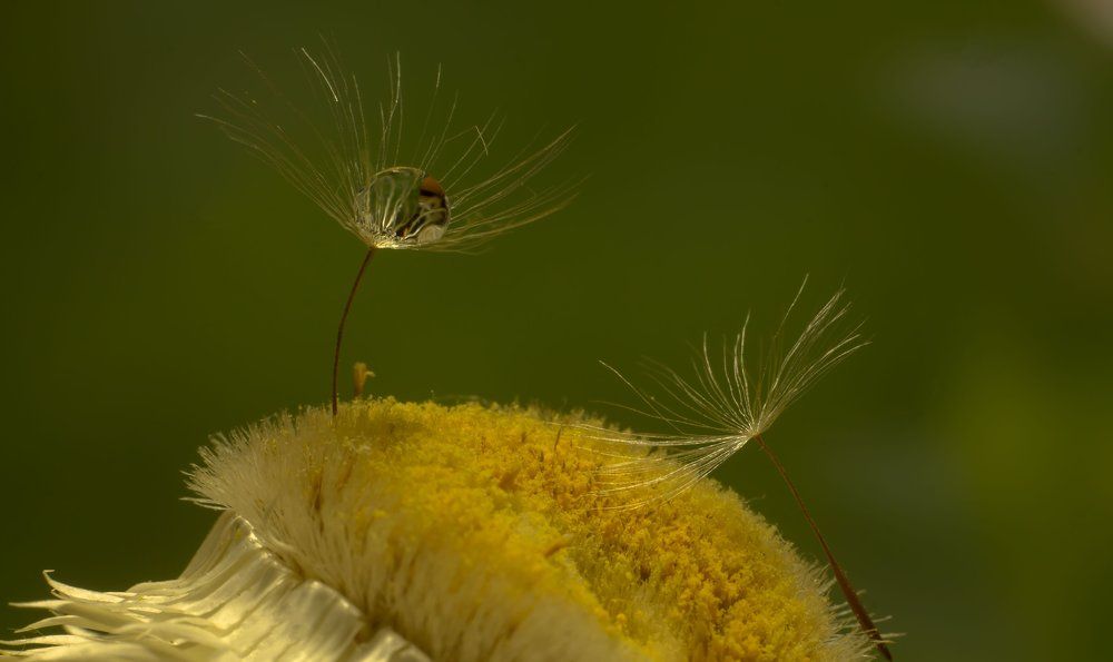 Photograph by Викулов Николай