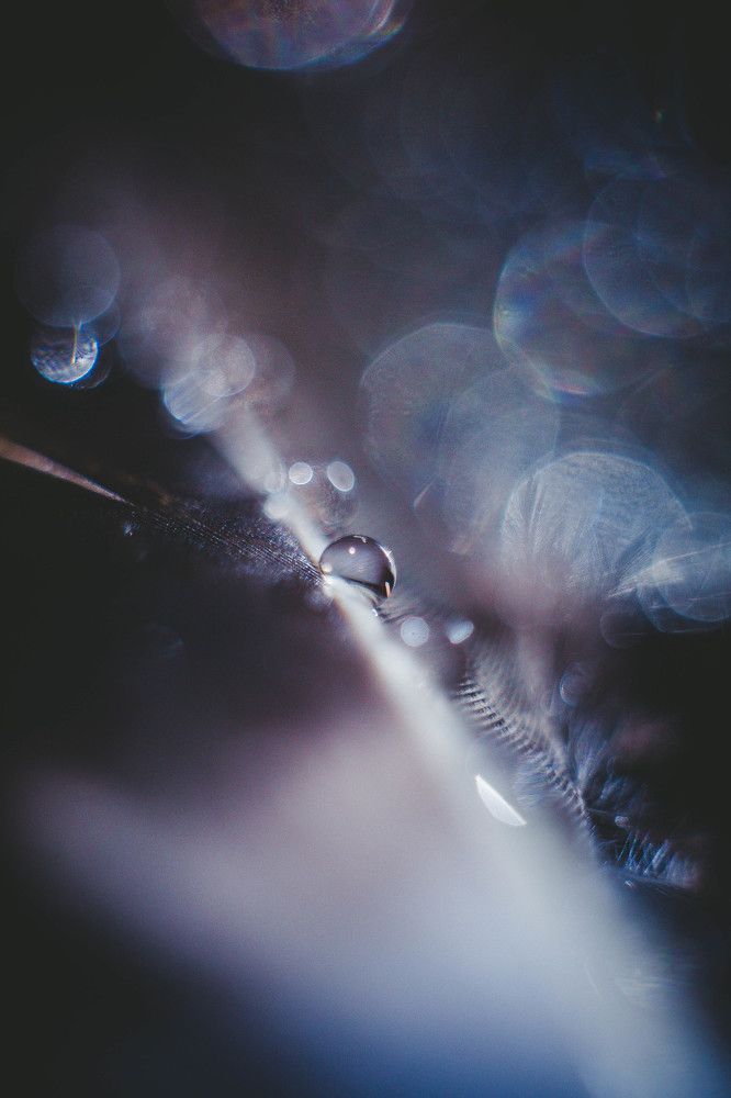 Капля в космосе