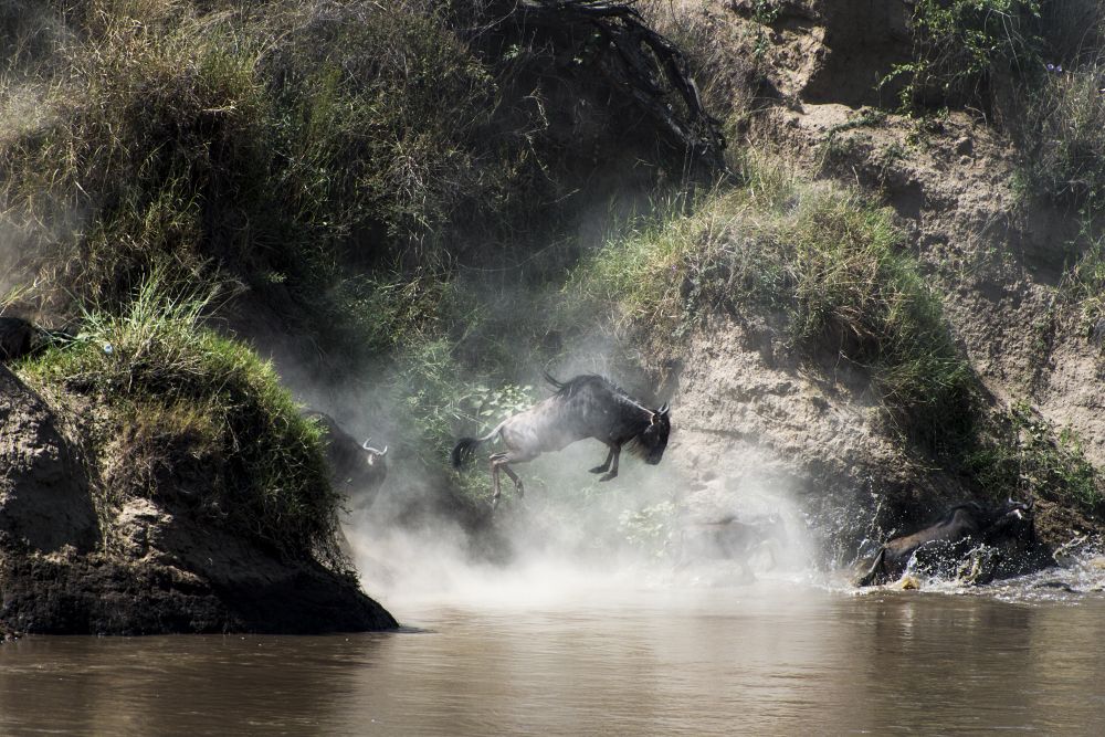 Великая Миграция у реки Мара
