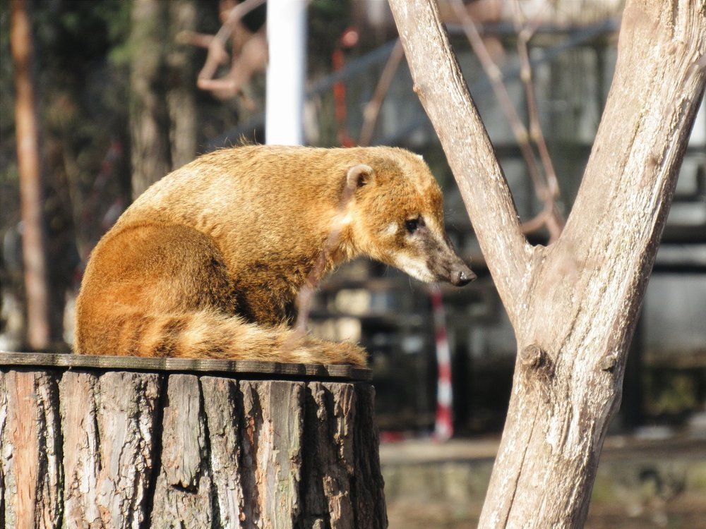 Photograph by Карина Хаустова