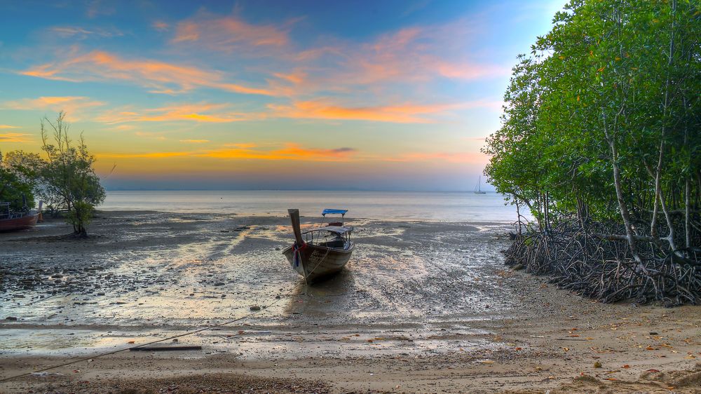 Опять отлив ...