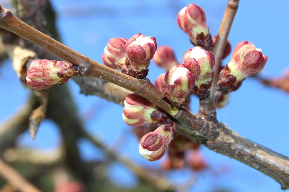 Photograph by Колесник Татьяна