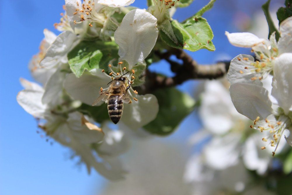 Photograph by Колесник Татьяна