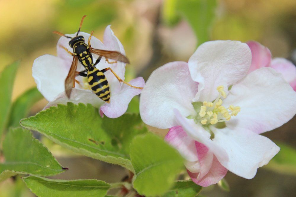 Photograph by Колесник Татьяна