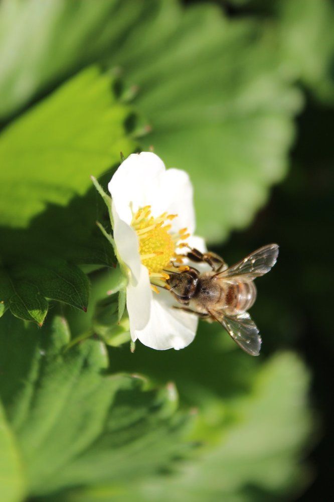 Photograph by Колесник Татьяна