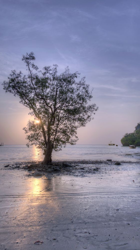 На восходе ...