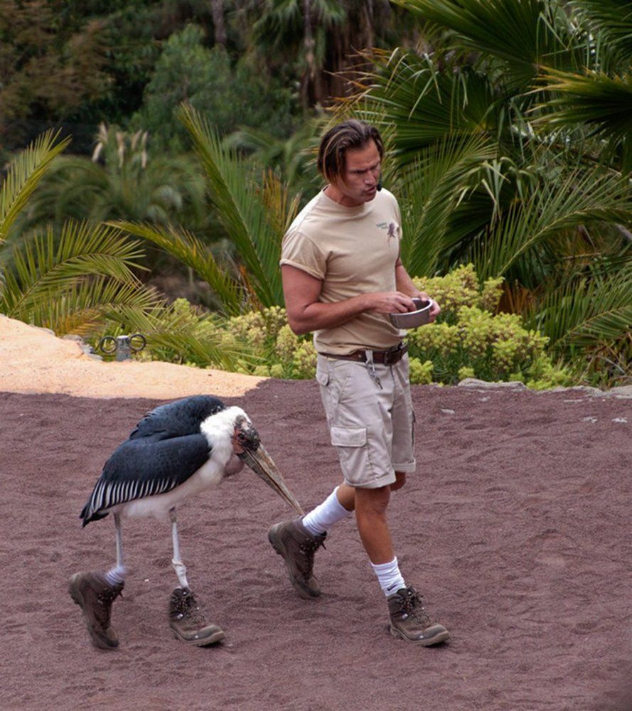 Кто там шагает левой?