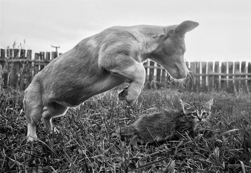 Прыжки через ко...