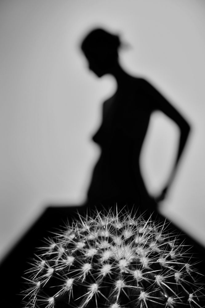 Одиночество.....главное выжить