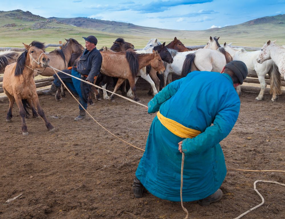 Конская стрижка