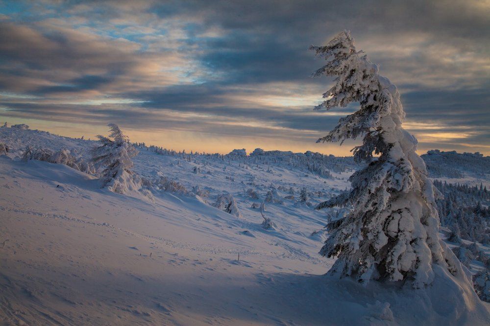 Выстоять до весны!