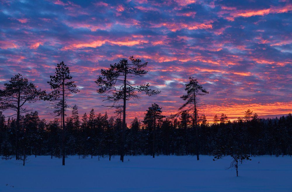 Огненный закат
