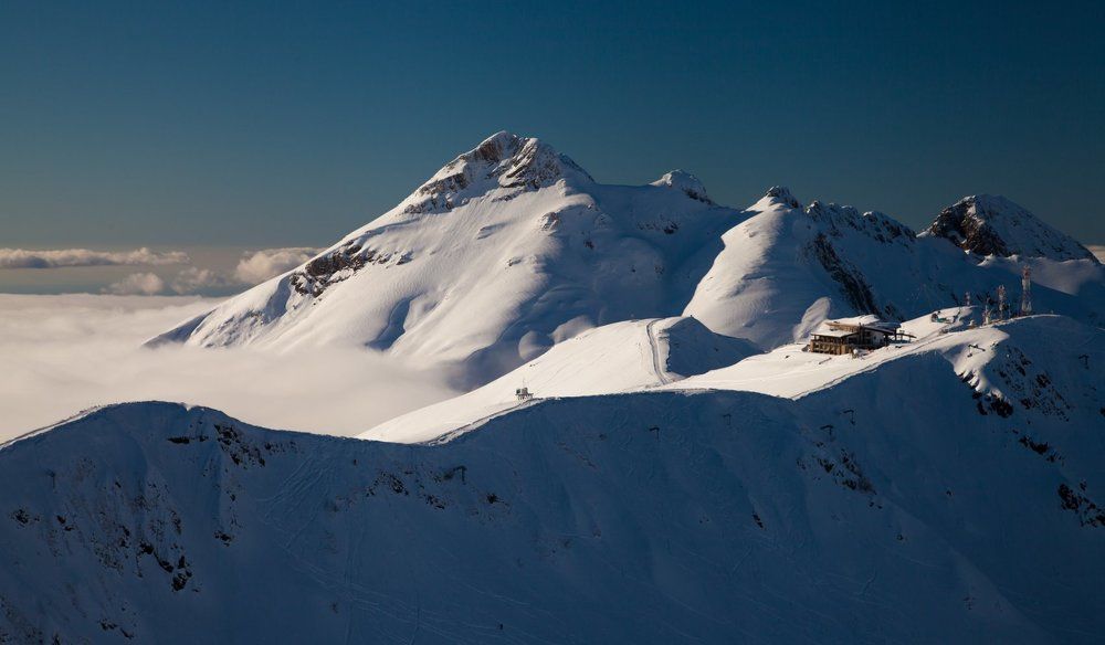 Гнездо в горах