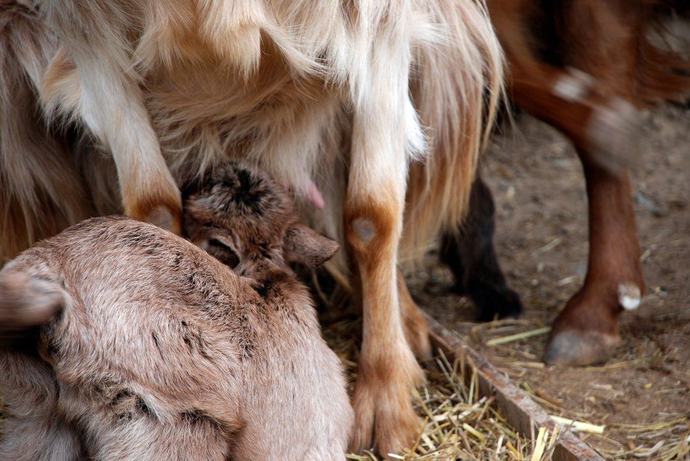 Intimacy and security