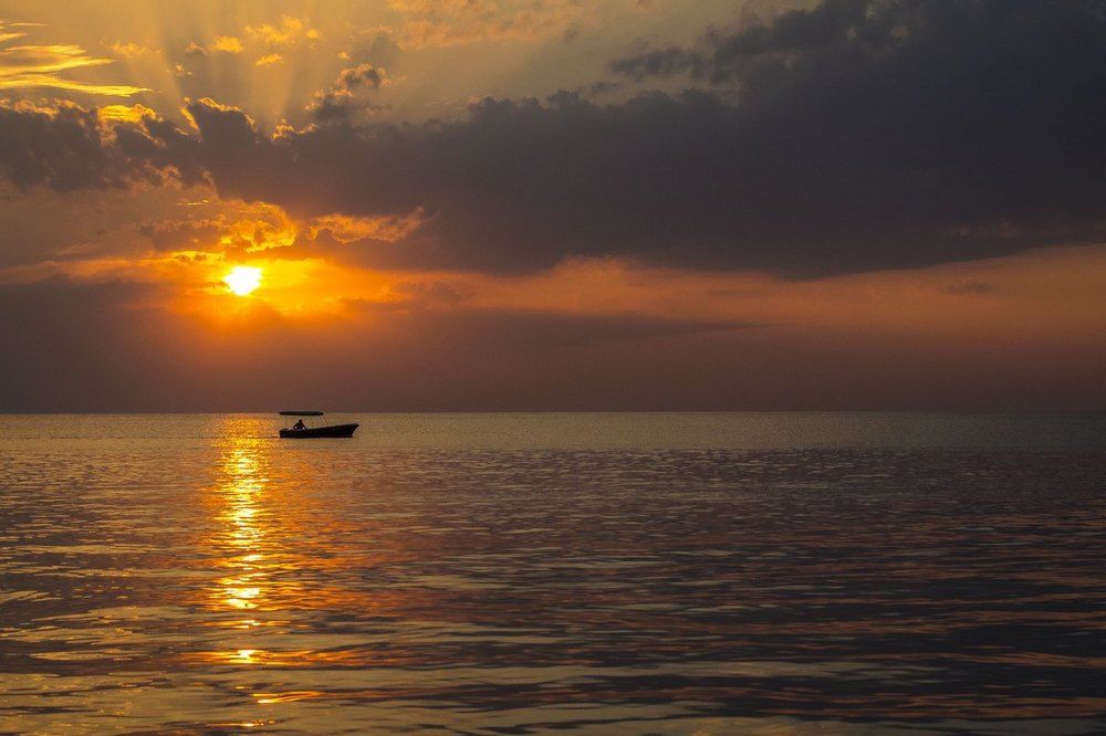 Фотография автора Светлана Котлярова