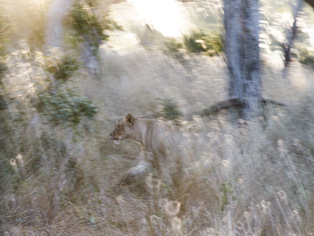 Утро в движении