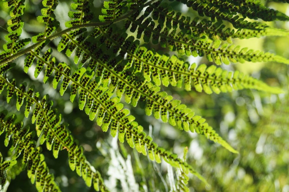 То, что внутри