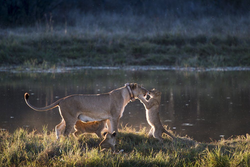 Мама, я тебя люблю!